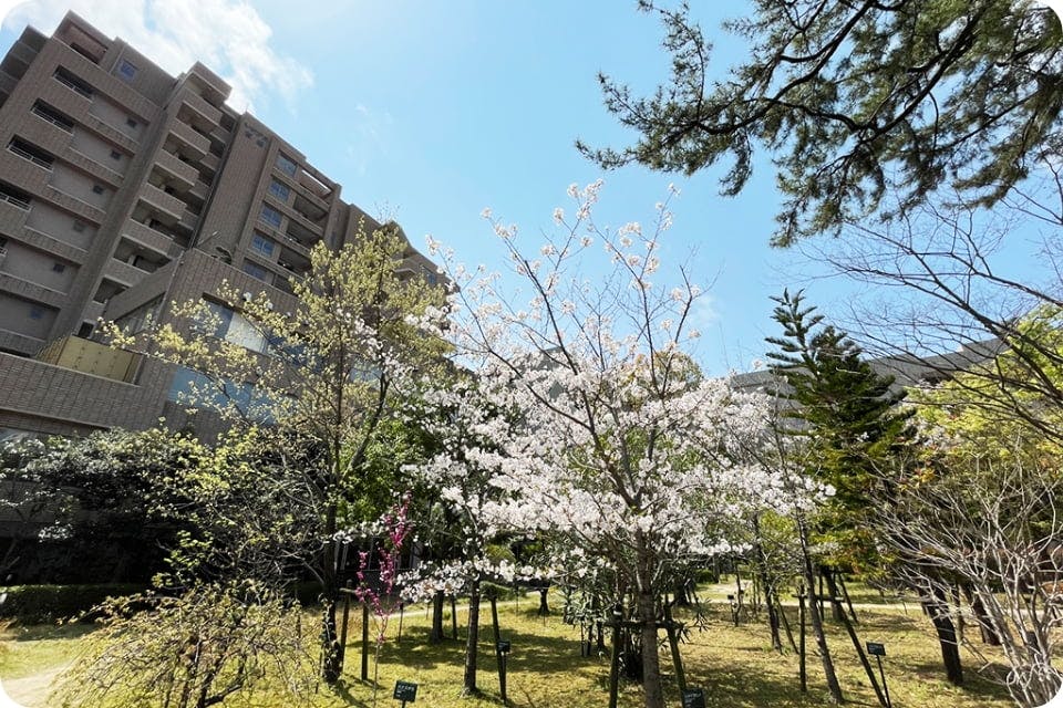 レジアス百道 四季の杜