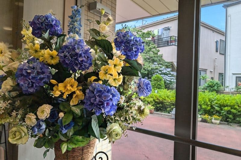 ホームステーションらいふ成城野川緑道 植物