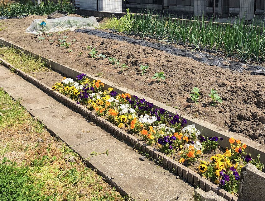 愛の家グループホームやないづ 菜園