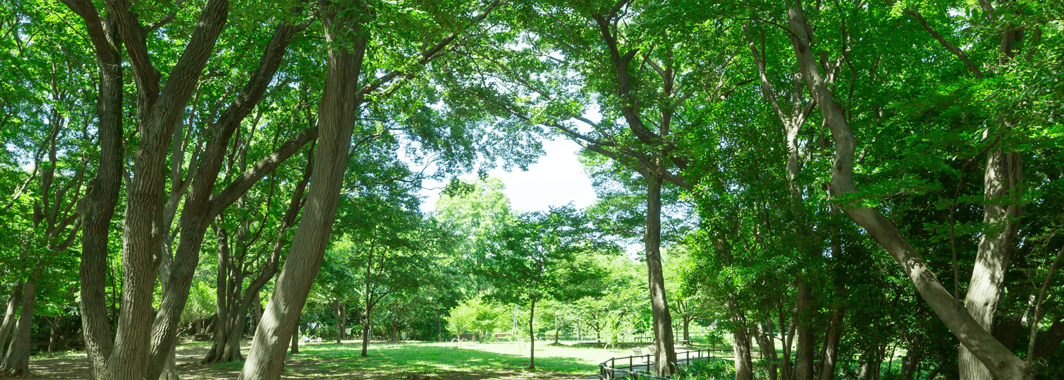 オウカス日吉 日吉の丘公園