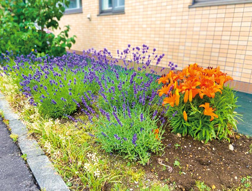 愛の家グループホーム札幌川沿 花壇