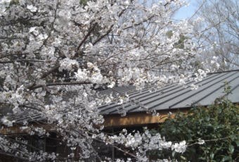 あにもの森1号館 外観
