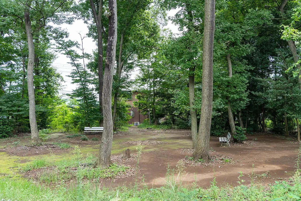 イリーゼ狭山・富士見 近隣風景