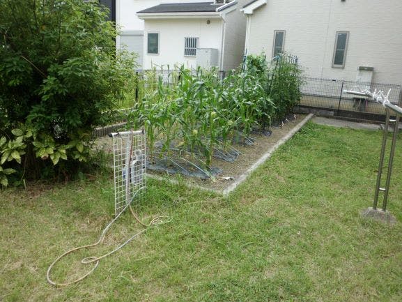 ニチイケアセンター浦里 庭