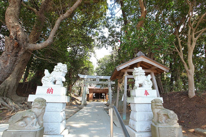 ミライアコート宮の杜 八社大神