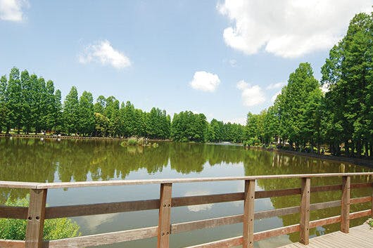 アズハイム中浦和 県立別所沼公園