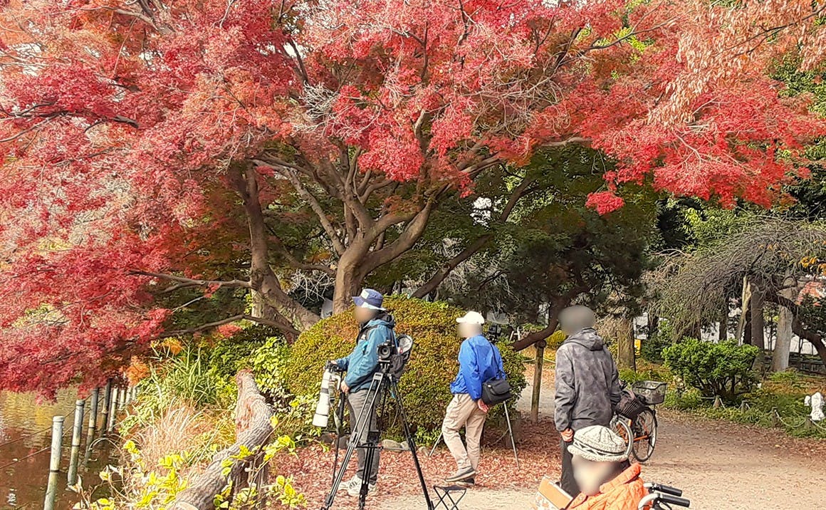プレザングラン中野鷺宮 紅葉狩り