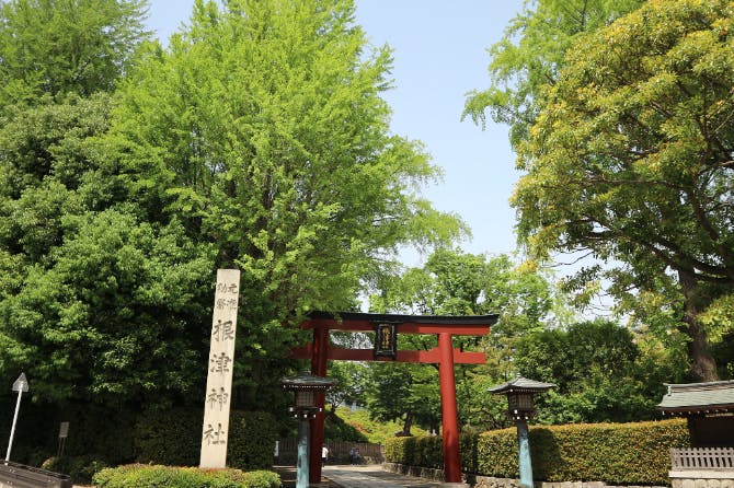 クラシックガーデン文京根津 根津神社