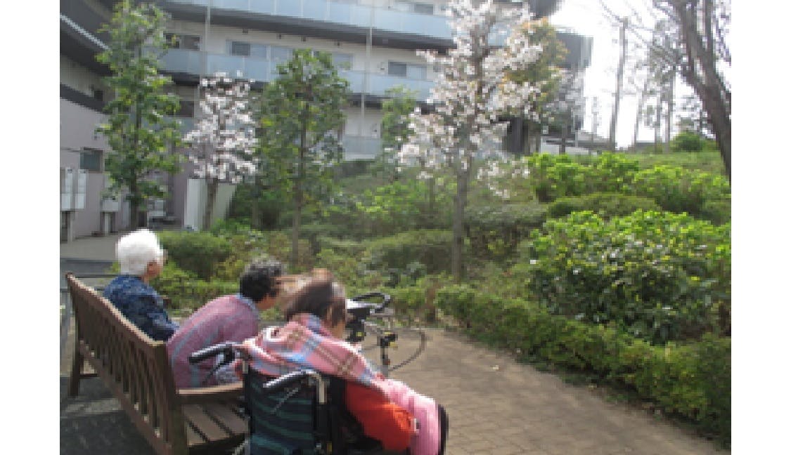 SOMPOケア ラヴィーレ赤塚公園 散歩