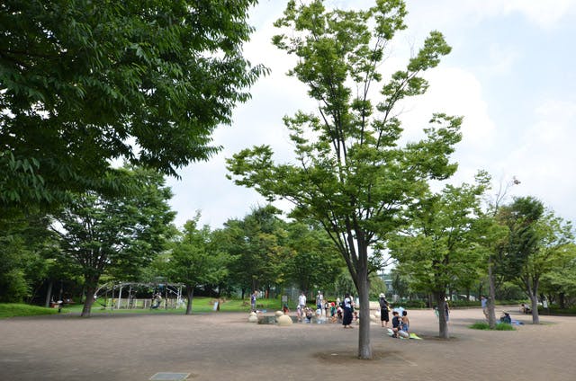 グランドマストひばりが丘南 西東京いこいの森公園