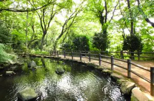 コンフォルト朝霞 滝の根公園