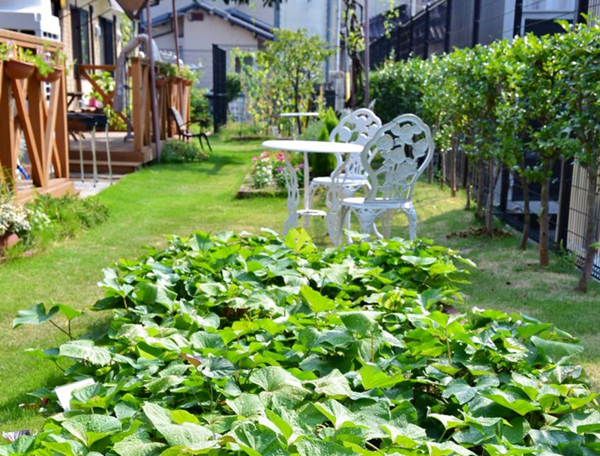 愛の家グループホーム筥松 庭