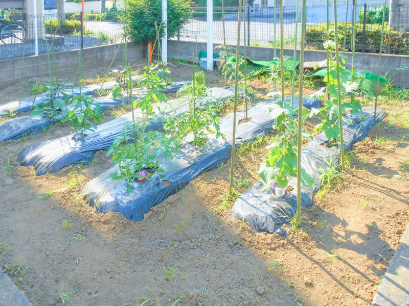 愛の家グループホーム東浦和大間木 菜園