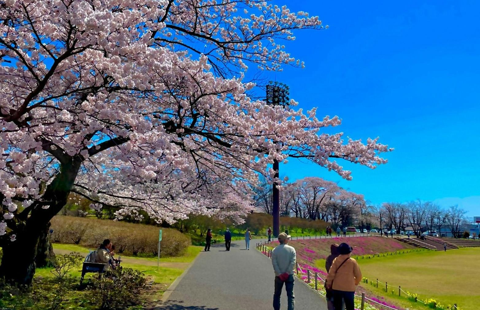 あずみ苑 グランデ矢板 外出レク
