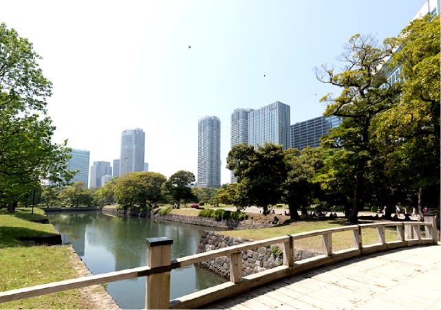 グランドマスト勝どき 浜離宮恩賜庭園