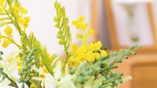 ライフコミューン登戸 居室