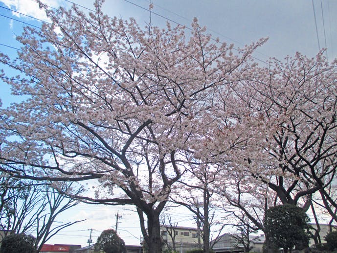 アミカの郷川口 蓮沼公園