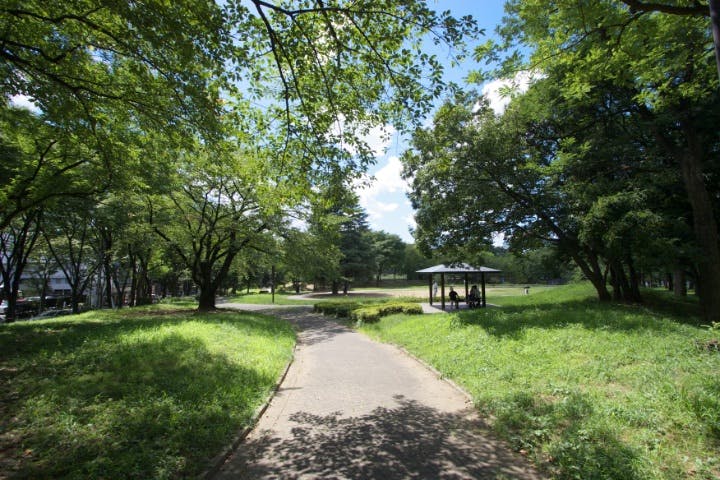 ヒルデモアたまプラーザ・ビレッジⅠ 美しが丘公園
