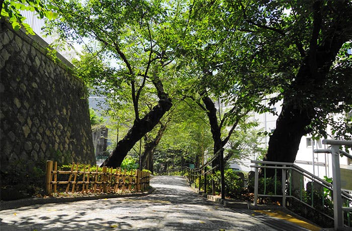 チャームプレミアグラン池田山 五反田公園