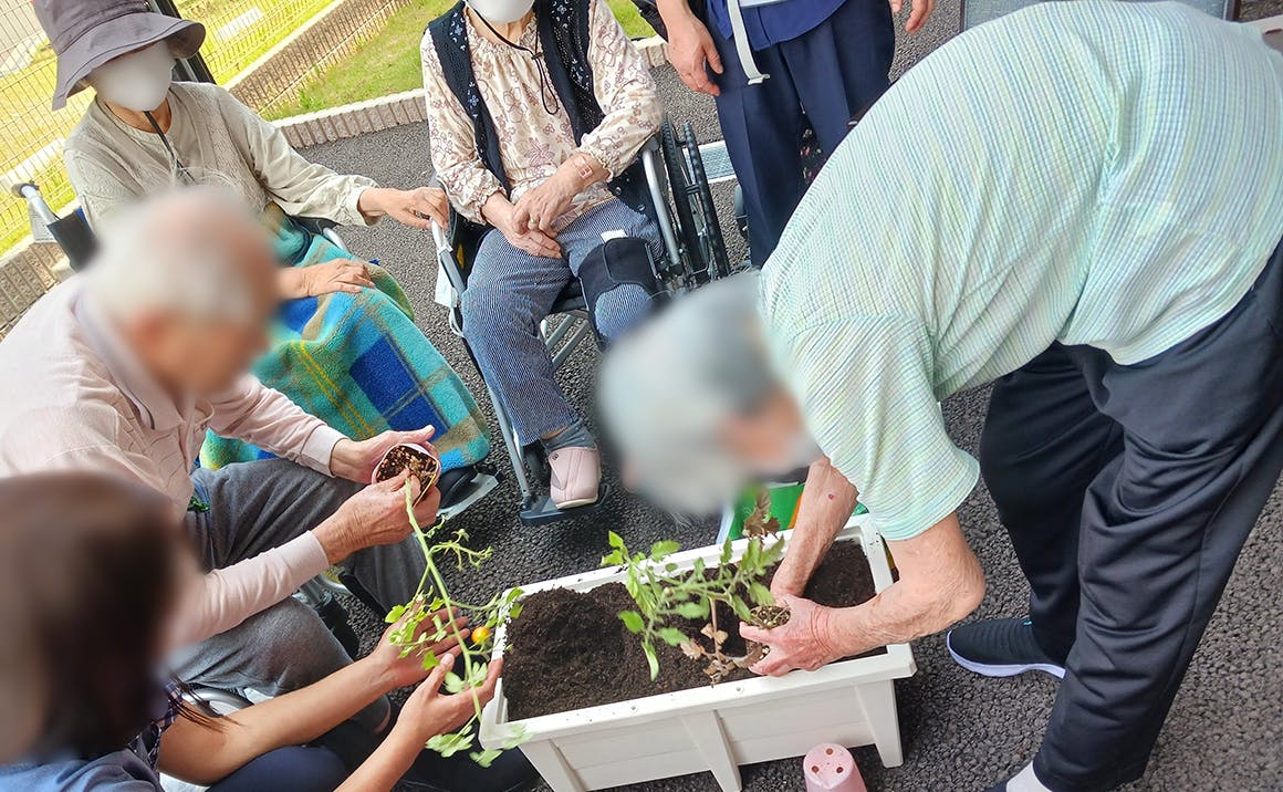 プレザンメゾン姫路広畑 野菜の苗植え