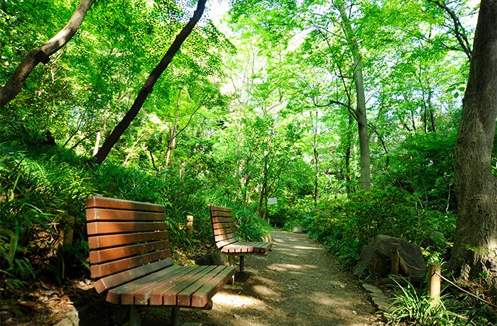 チャームプレミア目白お留山 おとめ山公園