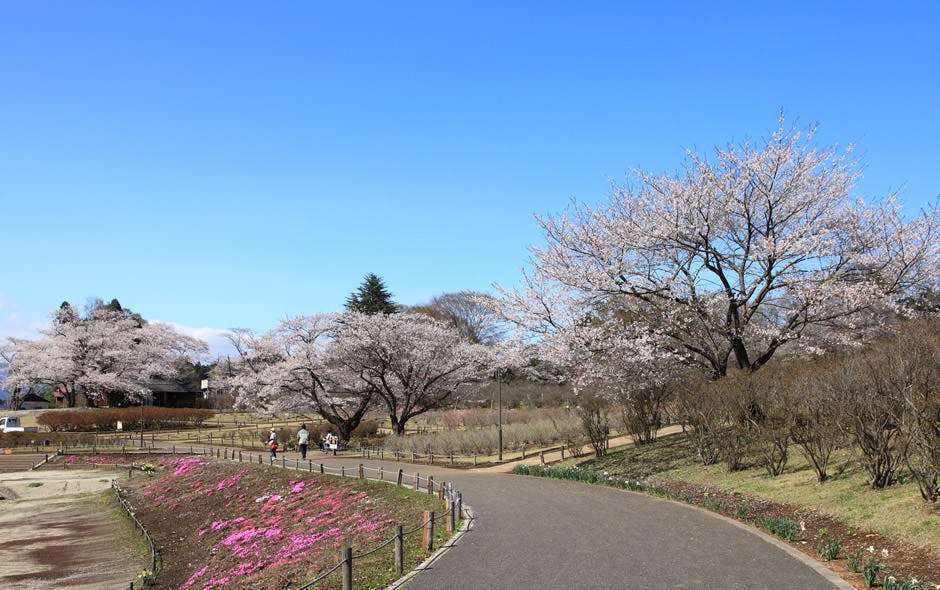 あずみ苑 グランデ矢板 長峰公園