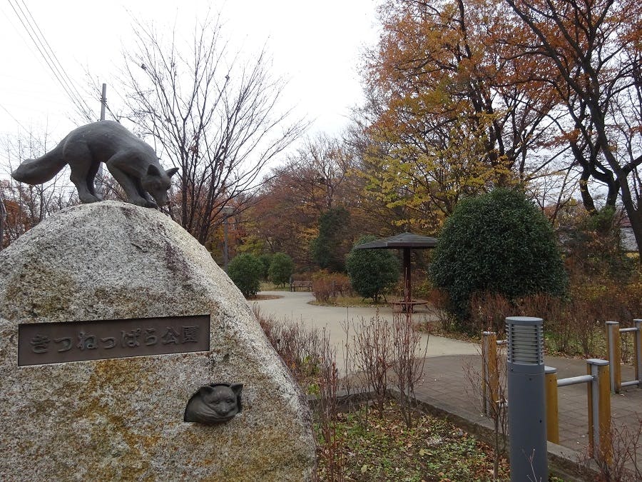 ホームステーションらいふ小平 きつねっぱら公園