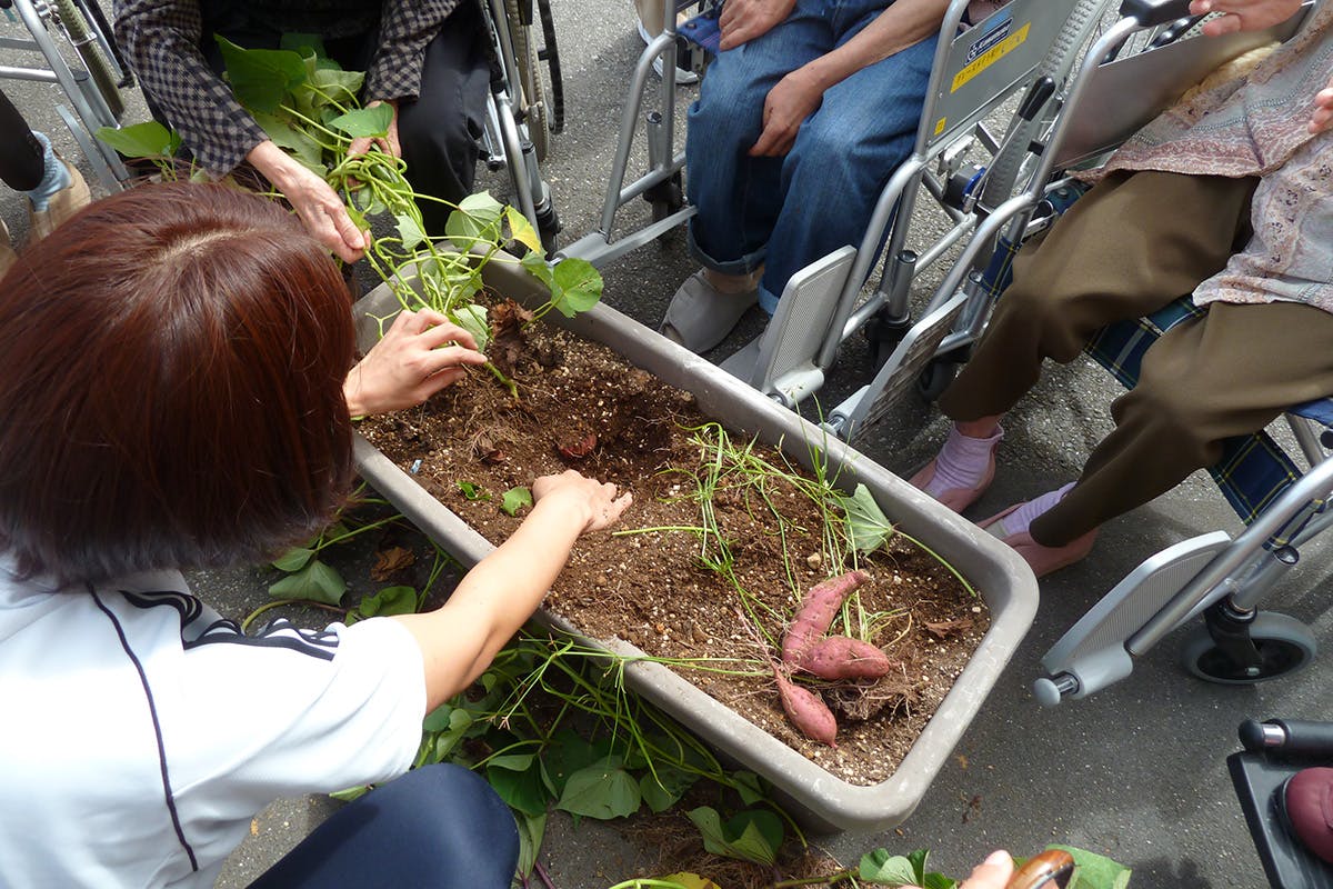 グレースメイト松戸 園芸
