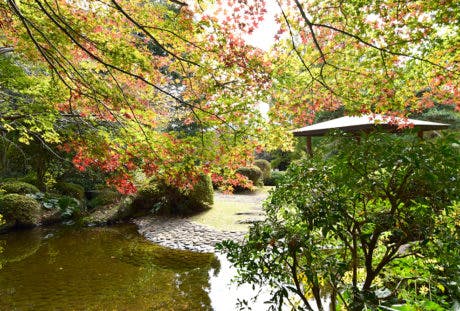 ガーデンテラス大宮公園 大宮公園