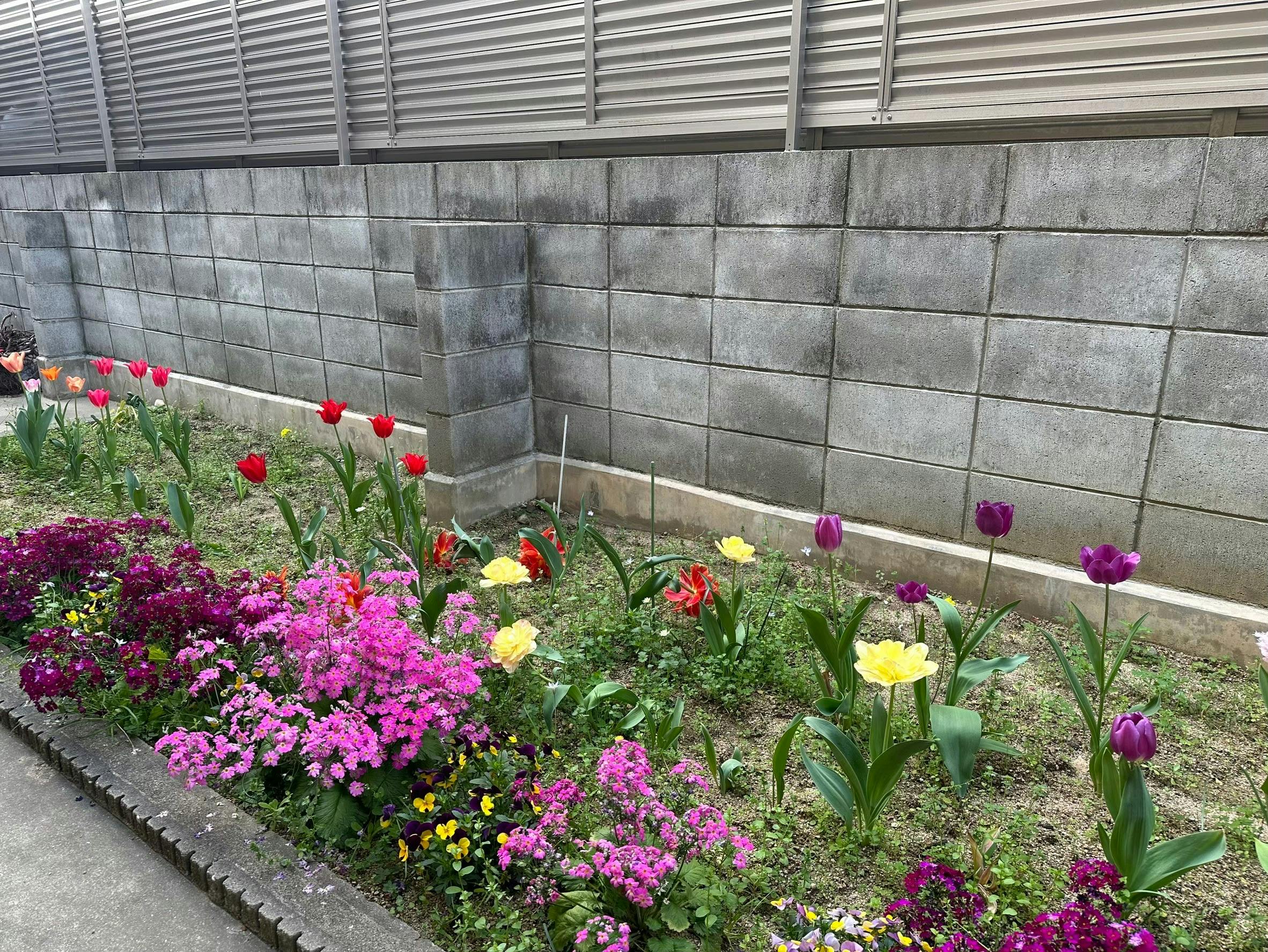 次屋の郷いな穂 花壇
