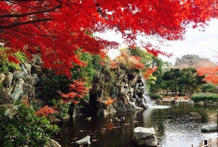 ホームステーション らいふ指扇 上尾丸山公園