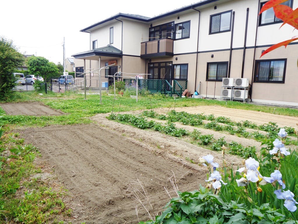 ニチイケアセンター柏木 庭