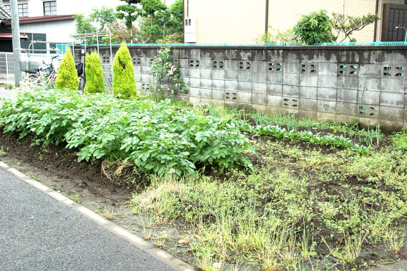 グループホームかおる 畑