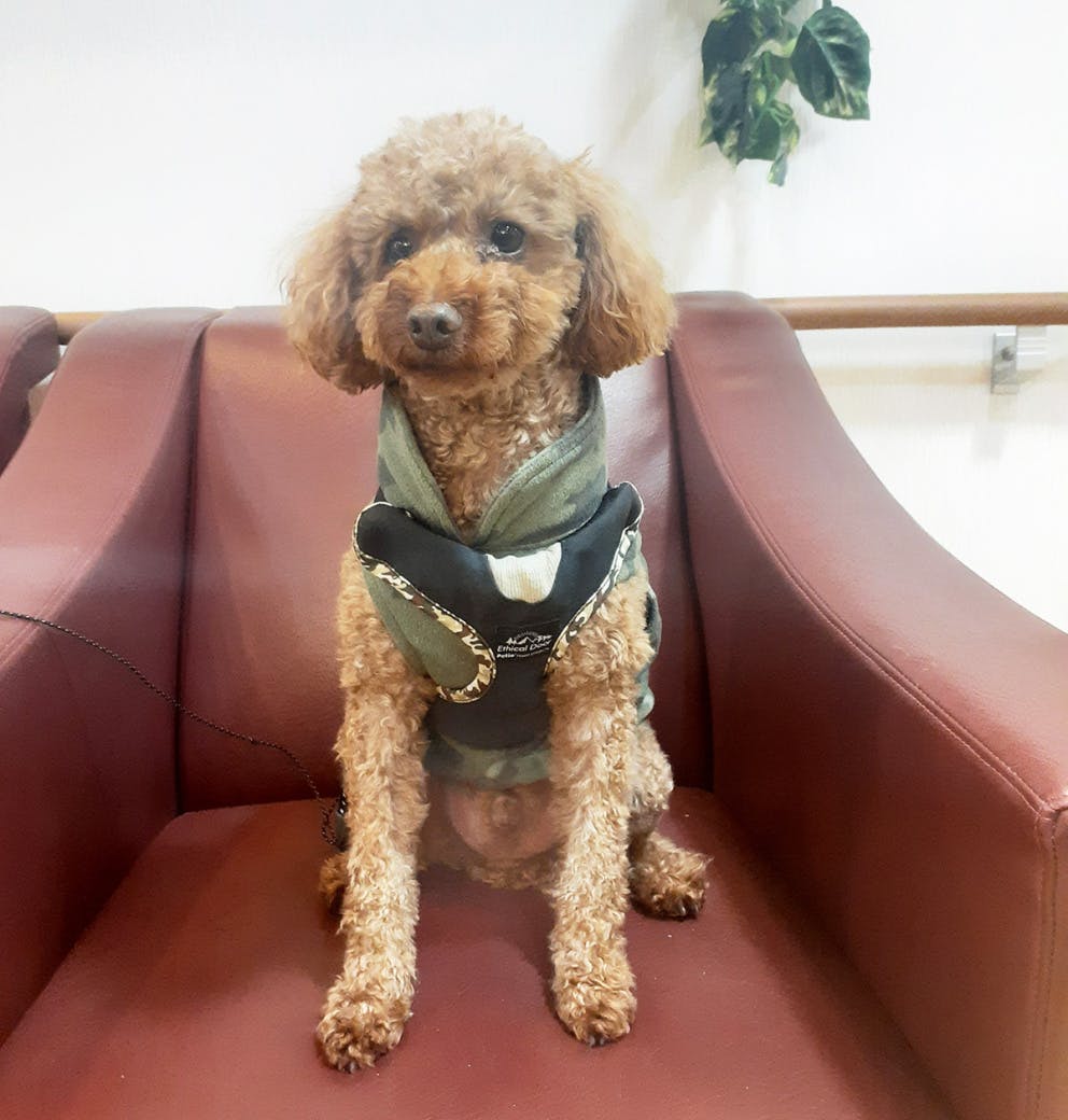 プレザンメゾンさいたま指扇 施設のアイドル