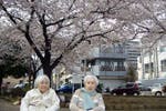ベストライフ川崎 お花見