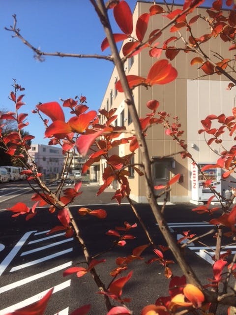 ニチイケアセンター坂戸緑町 外観