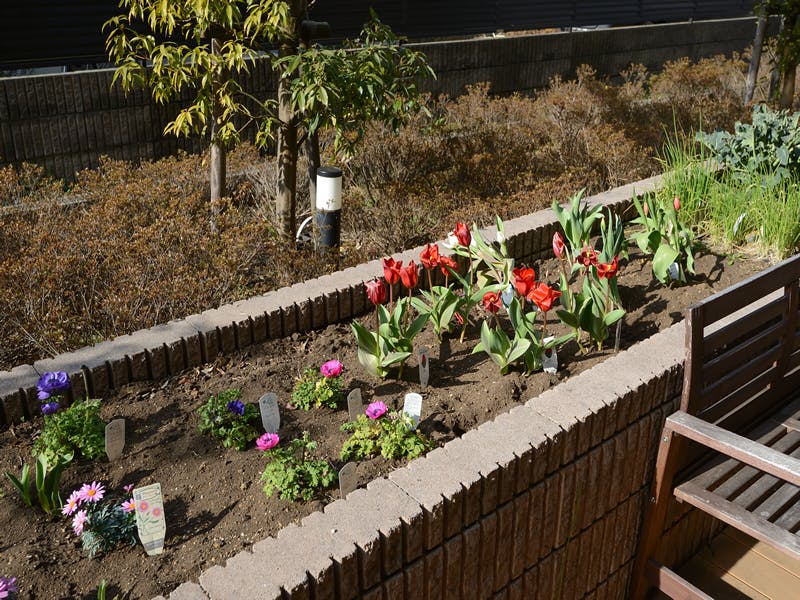 グループホームたのしい家宇奈根 花壇
