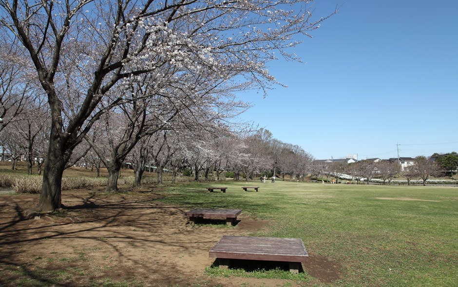 あずみ苑ラ・テラス小絹 絹の台桜公園