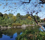 リリィパワーズレジデンスすみだ向島 隅田公園
