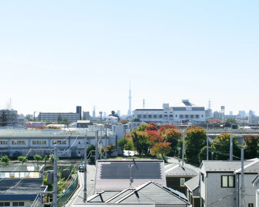 ガーデンフィールズ花畑 眺望