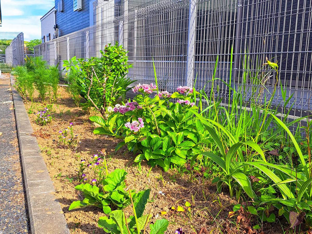 愛の家グループホーム館山亀ヶ原 花壇