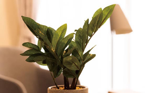 ライフコミューン登戸 居室