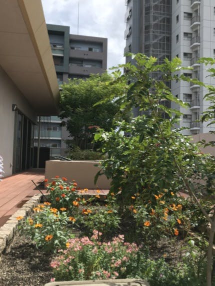 ＳＯＭＰＯケア ラヴィーレ南堀江 屋上庭園