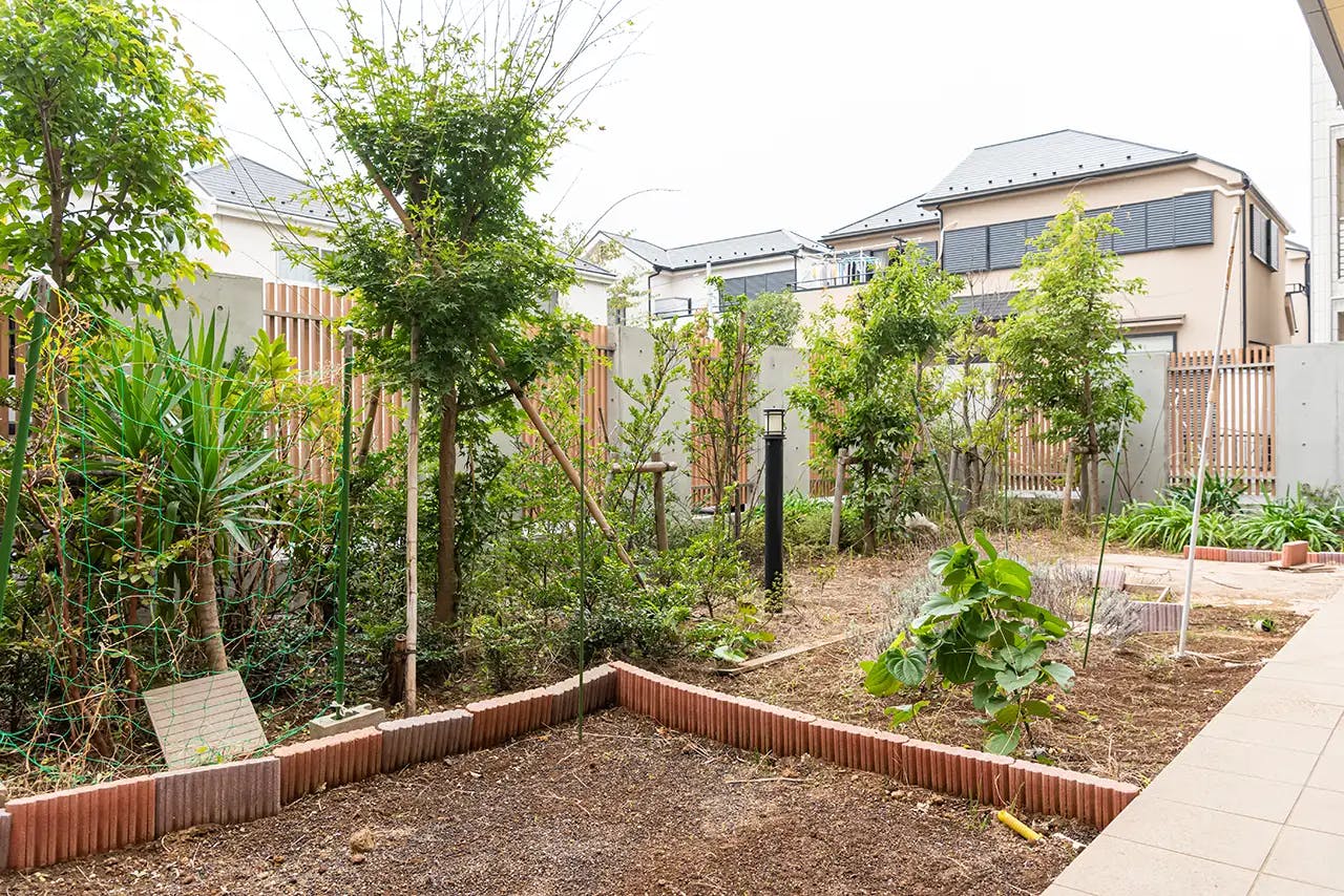 イリーゼ浦安 中庭