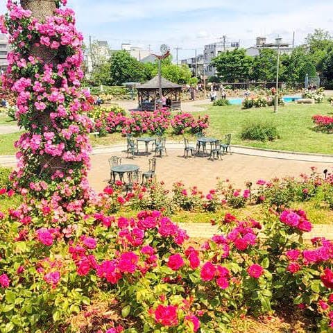 ラ・ルス・フェリス茨木 若園公園