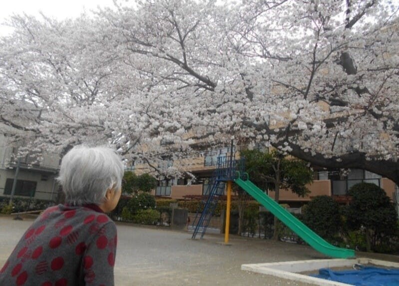 SOMPOケア ラヴィーレ習志野台 習志野台つばき公園