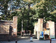 マストライフ古河庭園 六義園
