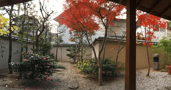 フィレンツェライフ青山 庭園