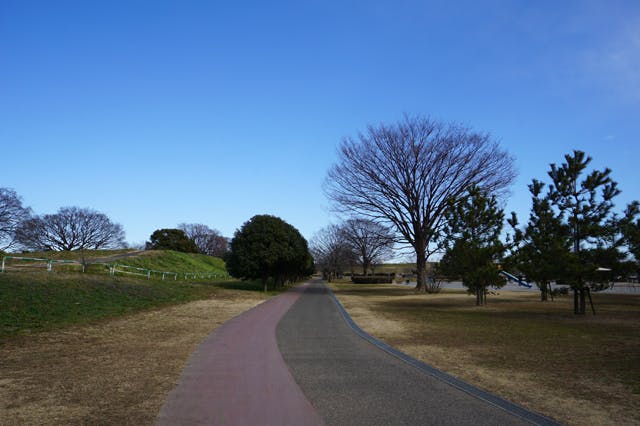 グランドマスト戸田公園 彩湖・道満グリーンパーク