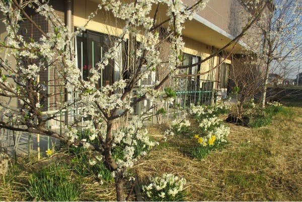 グループホームみんなの家・鴻巣 庭